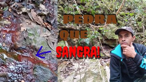  A Pedra que Sangra: Uma Exploração Profunda das Emoções Primitivas!