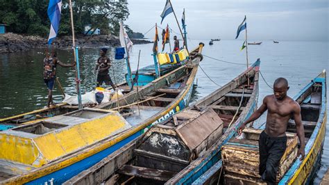 The Fishermen - Uma Exploração Vibrante da Vida e das Tradições Nigerianas!